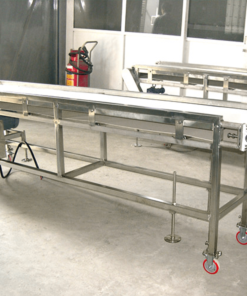 Băng tải dây Belt